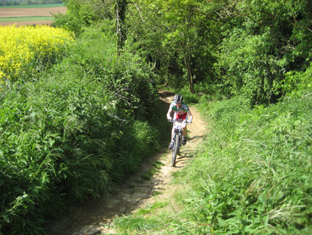 Photo 007