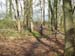 photo008